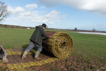 Willow Ground Roll